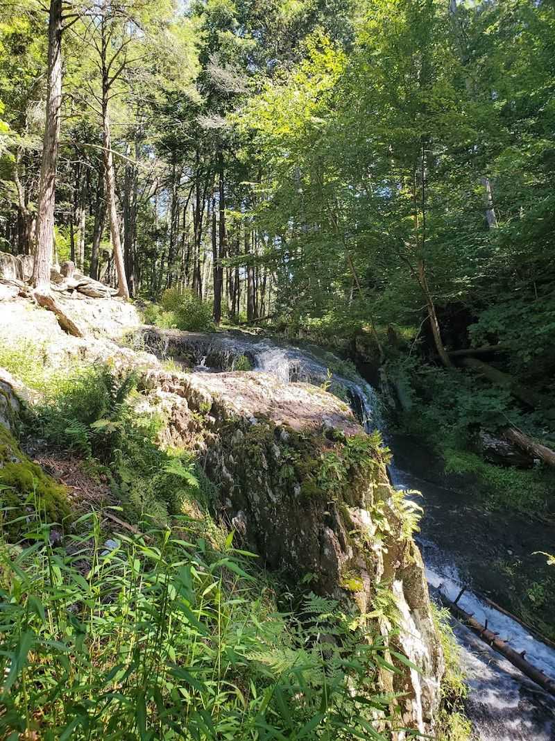 Tillman&rsquo;s Ravine, Stokes State Forest (Sussex County)