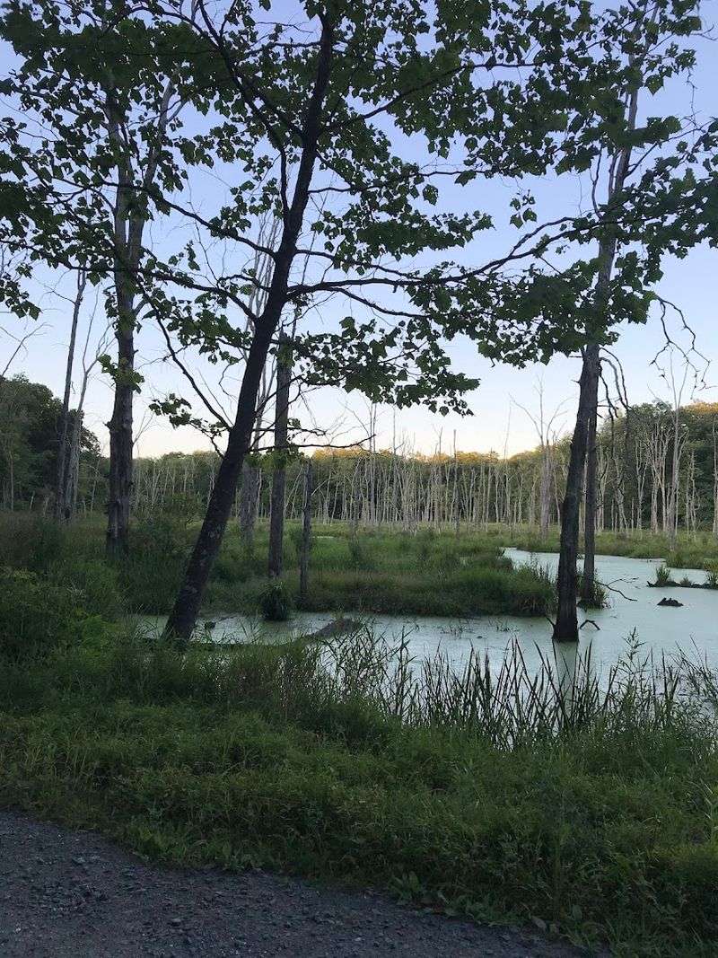 How the Delaware Water Gap Setting Makes the Experience Even More Inspiring
