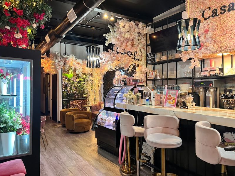 Casa de Flora Bar, Bloomfield