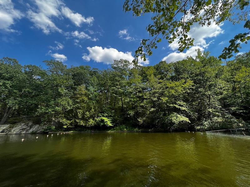 Why This Stream Fed Pool Feels Nothing Like a Typical Public Pool