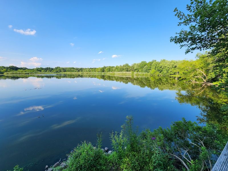 The Celery Farm, Allendale (Bergen County)