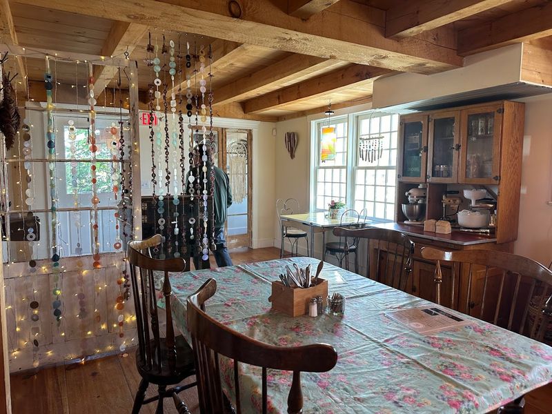 Tulip Tree Cafe, Freehold