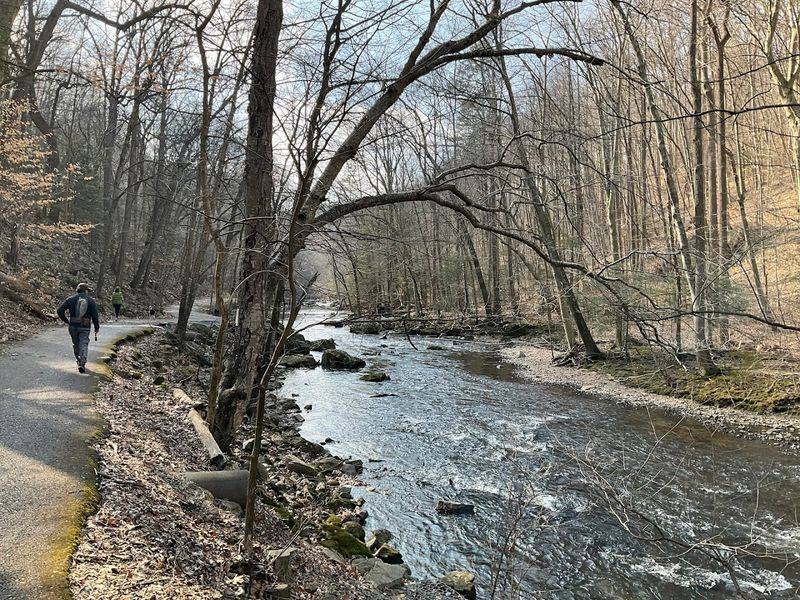 South Branch Raritan River