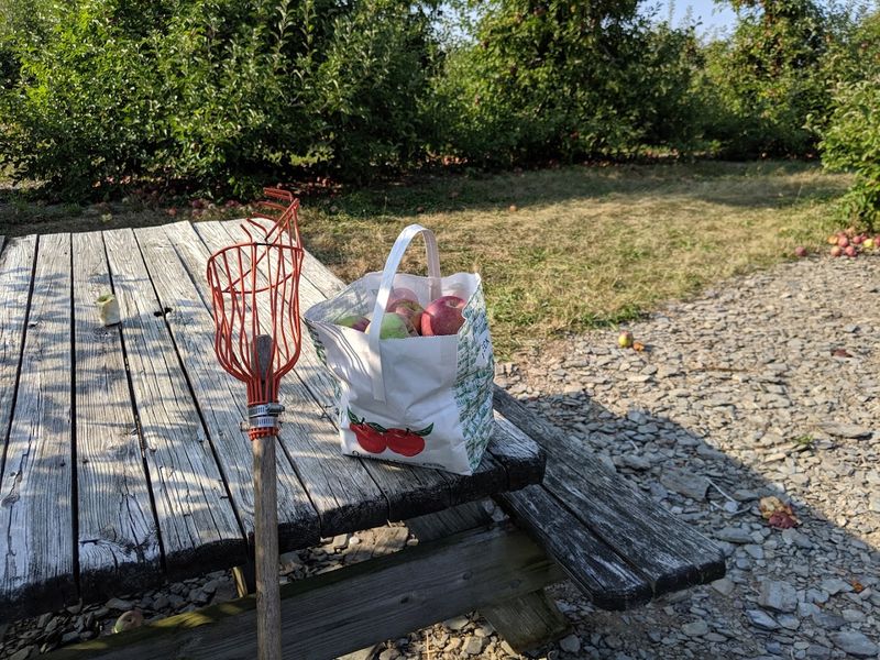 Why a Trip to Fredon Feels Like a Perfect New Jersey Day