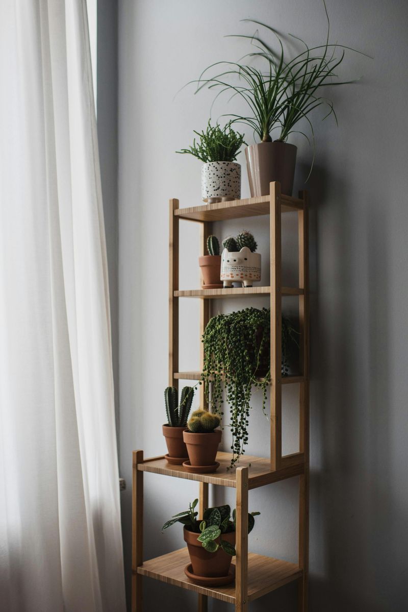 Breathe Life into Your Space with Plants