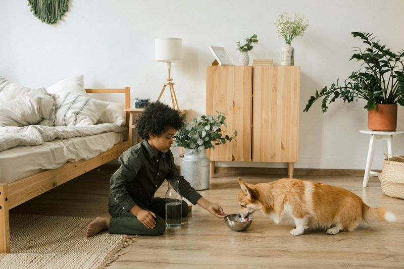 Pet Helper Heroes