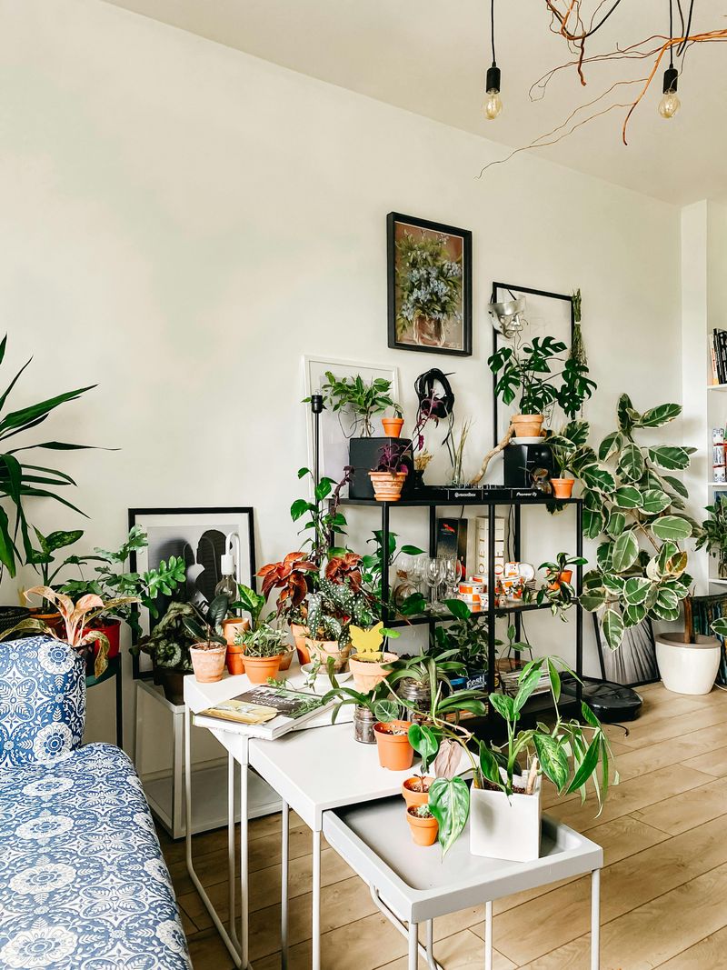 Indoor Jungle