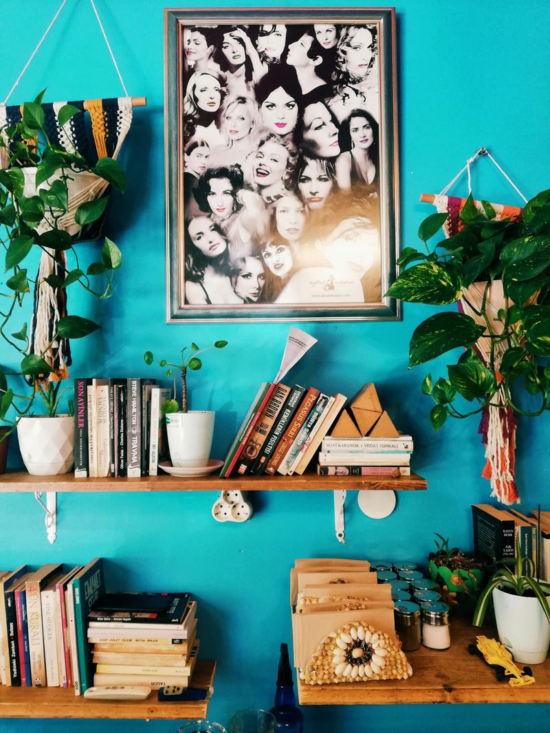 Maximalist Shelves