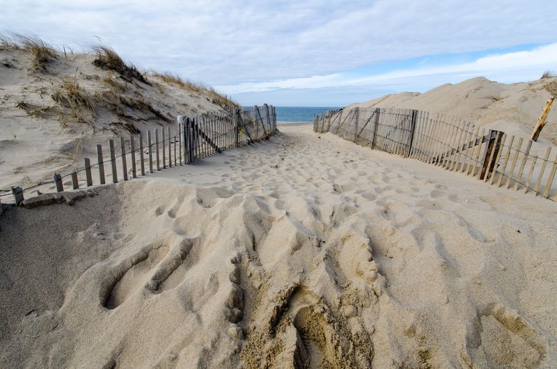 Cape Cod National Seashore: Atlantic Beaches with Junior Ranger Fun