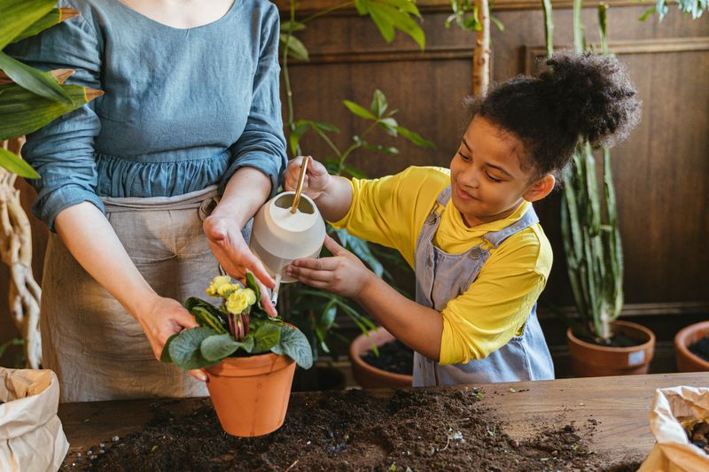 Plant Watering Safari