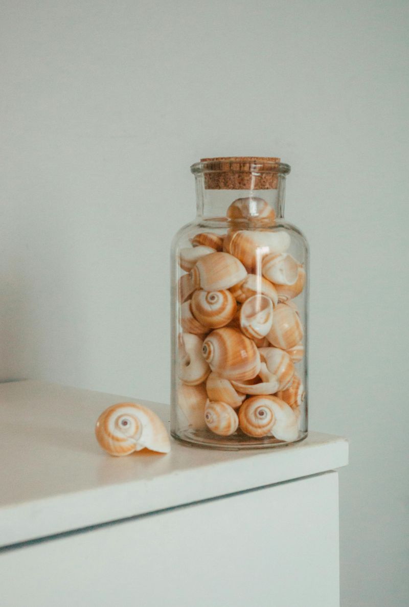 Collected Treasures From Outdoor Adventures