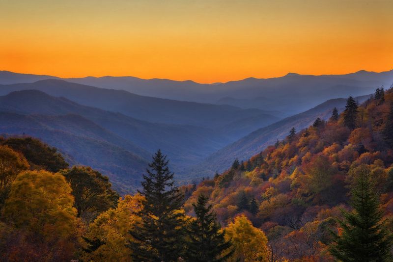 Great Smoky Mountains: Gentle Forests Teeming with Wildlife