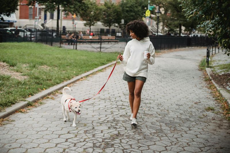 Quick Walks for Instant Vitality