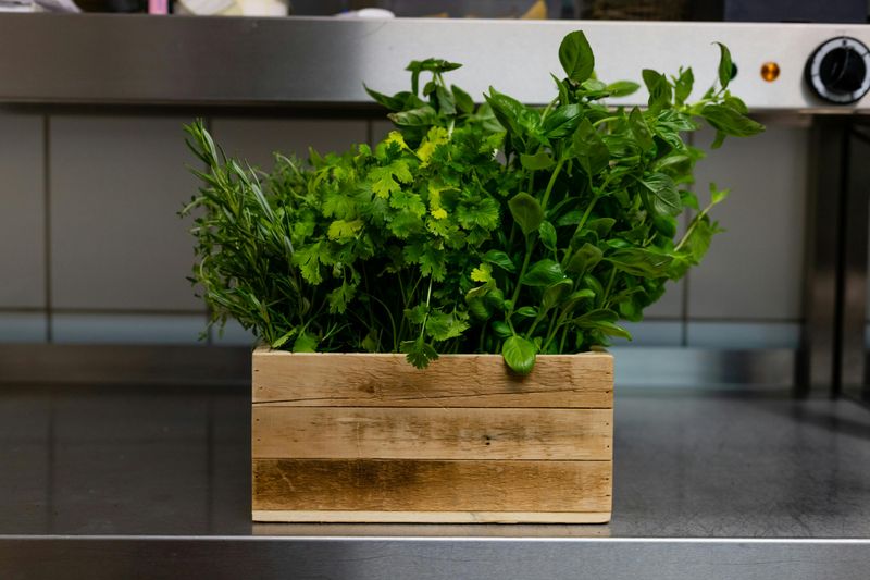Bring Your Kitchen to Life with Natural Elements