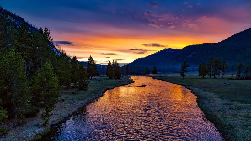 Yellowstone National Park: Nature's Greatest Classroom