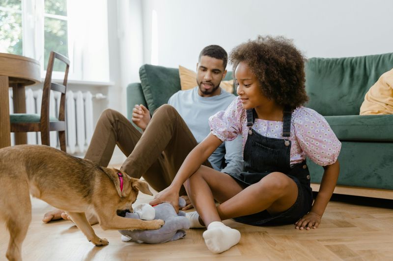 Free Accommodations: House Swapping and Pet Sitting Adventures