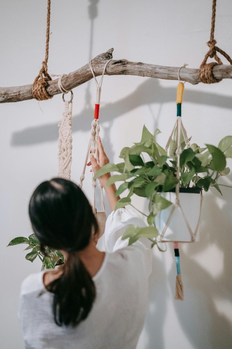 Elevated Plant Containers