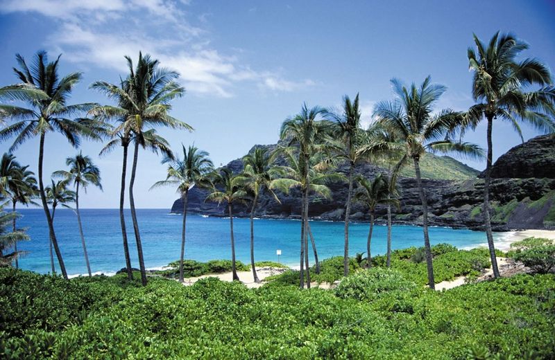 Hawaii (Big Island & Oahu): Paradise Classroom