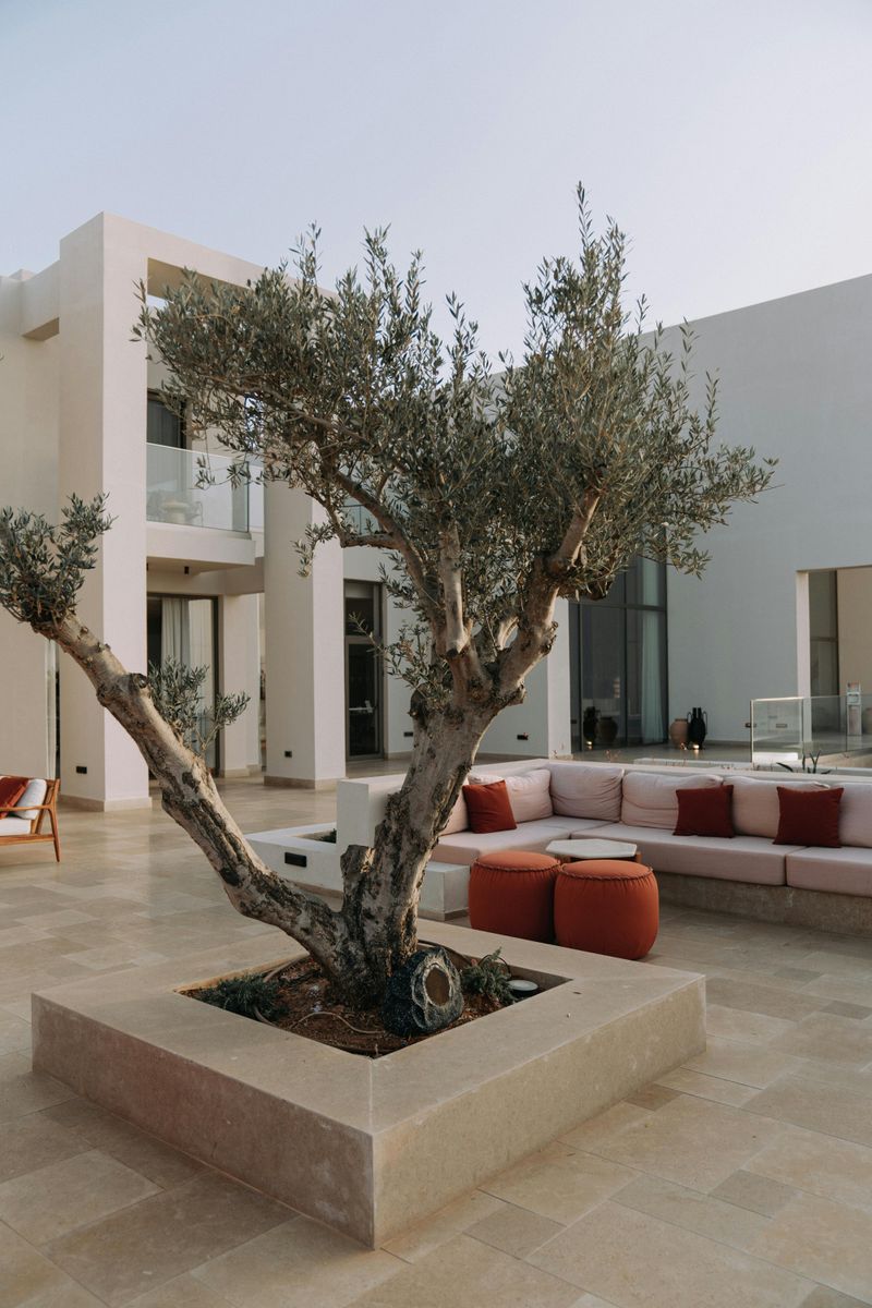 Create an Outdoor Lounge Area