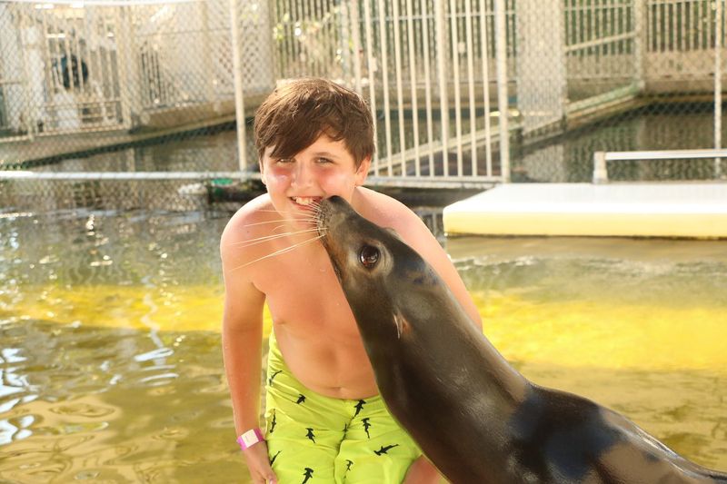 Lagoon Beach, Snorkel Breath, And Shade
