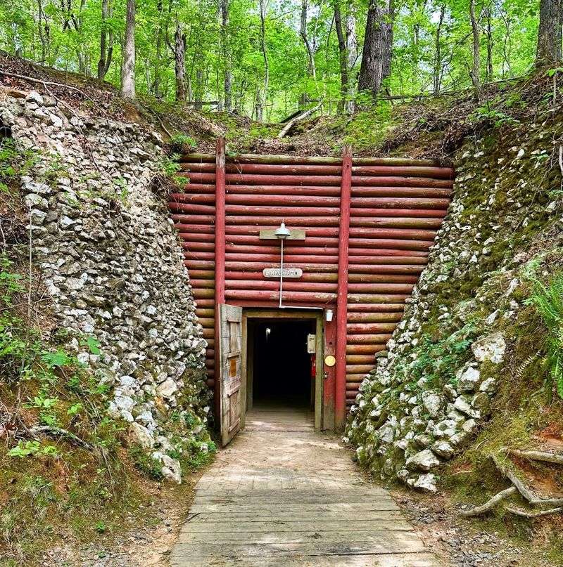 Reed Gold Mine (Midland)