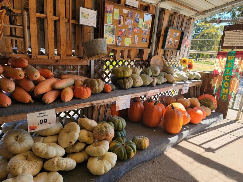 Lineberger's Farm (Dallas)