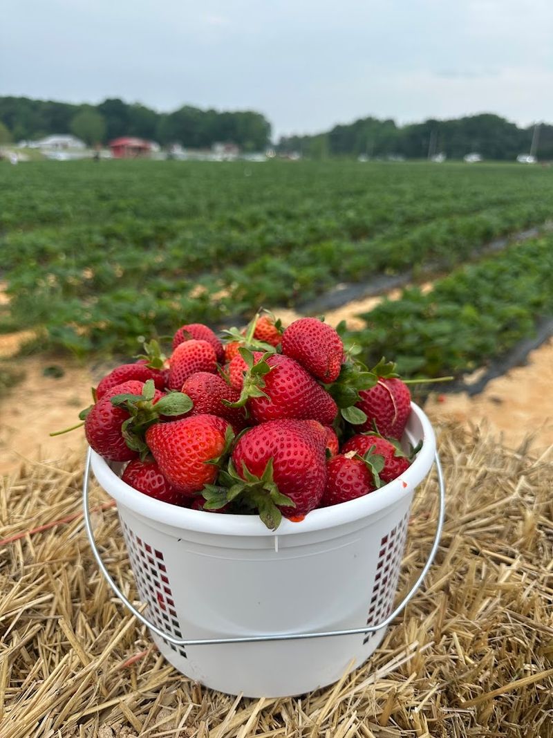 Deer Run Farm (Midland)