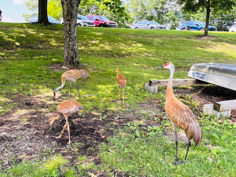 Kensington Metropark