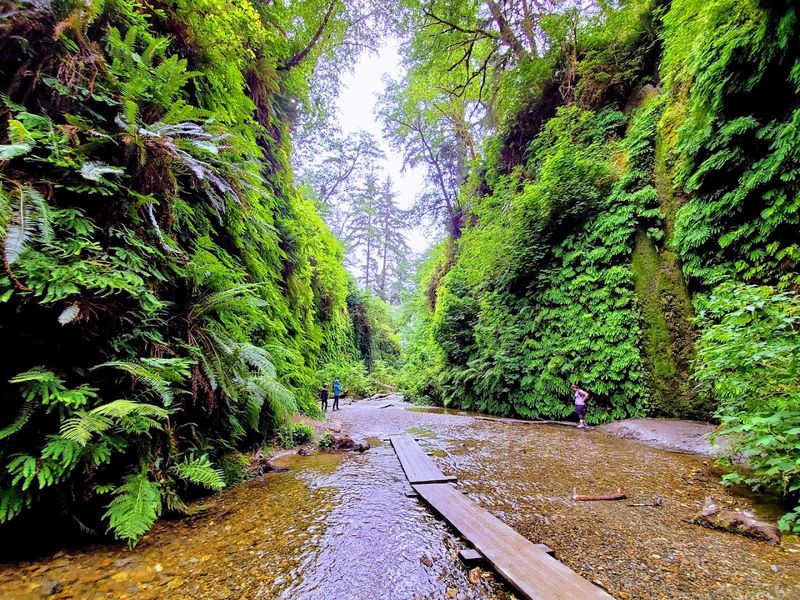 Prairie Creek Redwoods State Park (Orick)