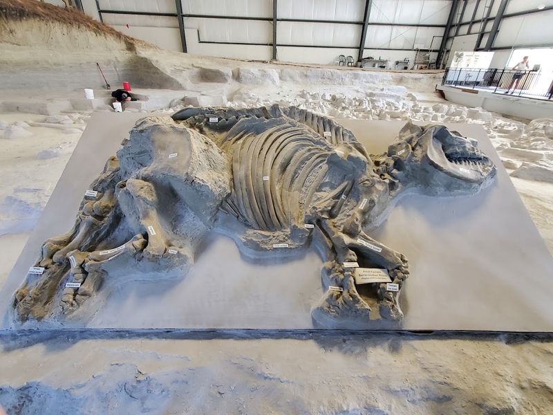 Ashfall Fossil Beds State Historical Park