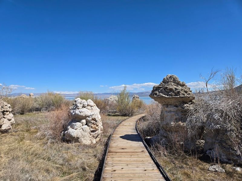 Mono Lake Tufa State Natural Reserve (Lee Vining)