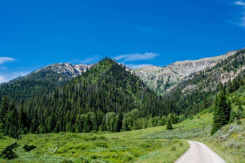 Greys River Road Scenic Escape