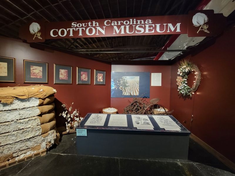 Cotton Touches Everything You Own