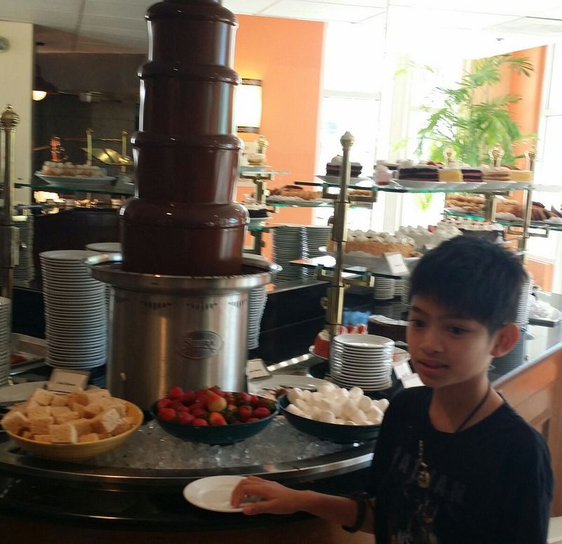 Plan Your Visit: Hours, Price, and Best Timing