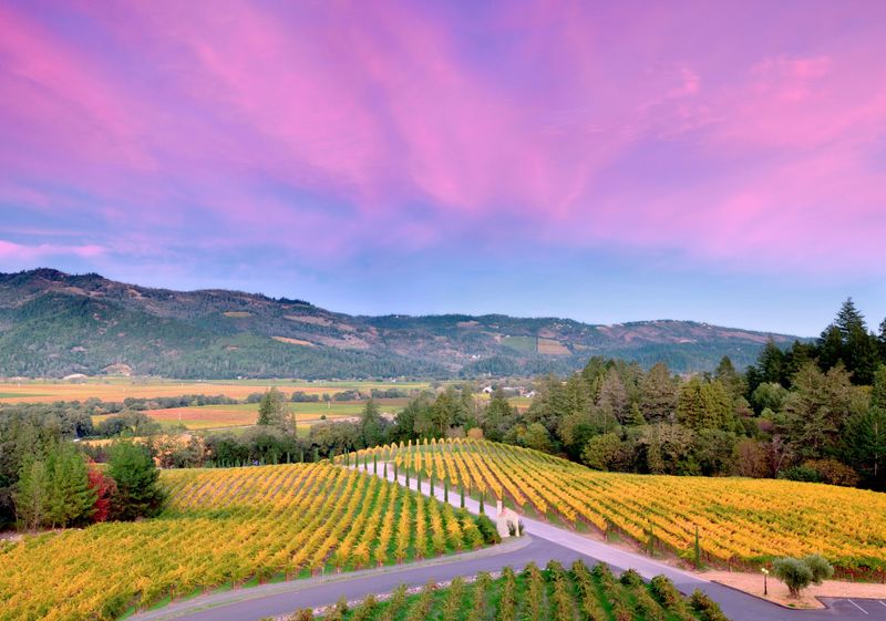 Silverado Trail, Napa Valley, California