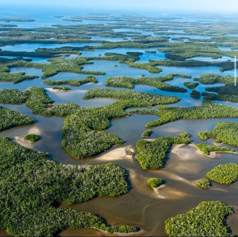 Everglades National Park, Florida