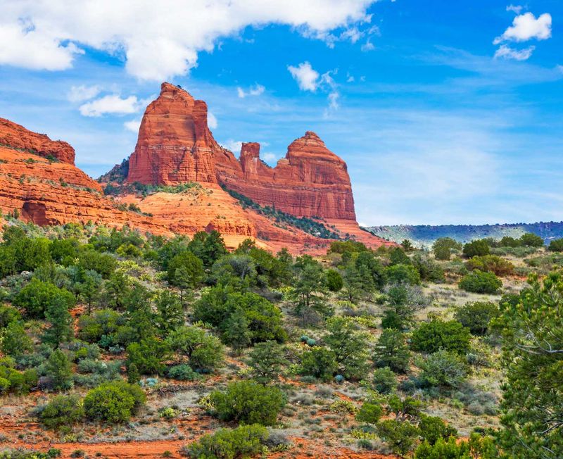 Coconino National Forest, Arizona