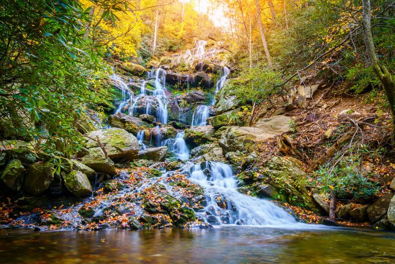 Pisgah National Forest, North Carolina