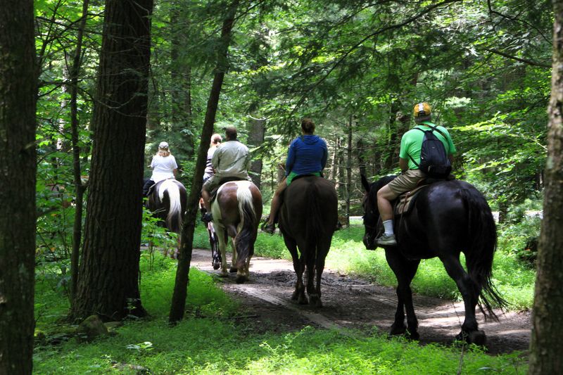 Great Smoky Mountains Horseback Riding