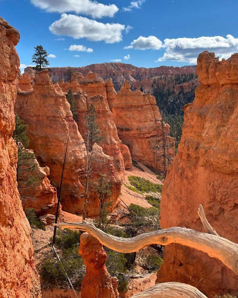 Bryce Canyon