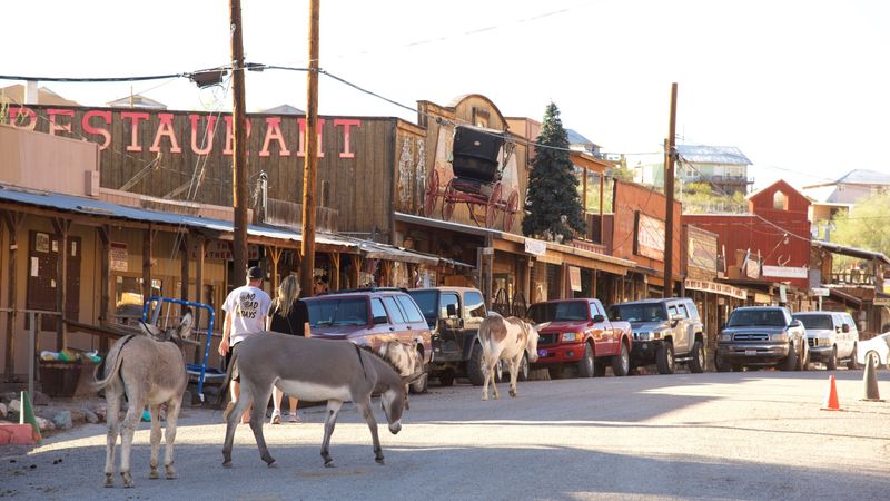 Oatman, Arizona