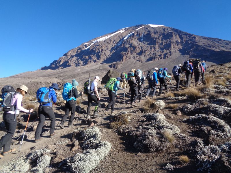 Climbing Mount Kilimanjaro