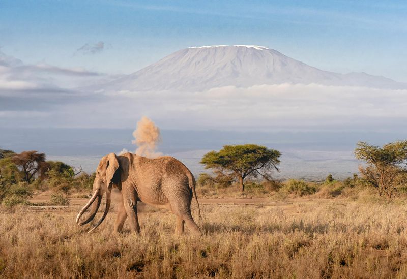 Serengeti National Park, Tanzania