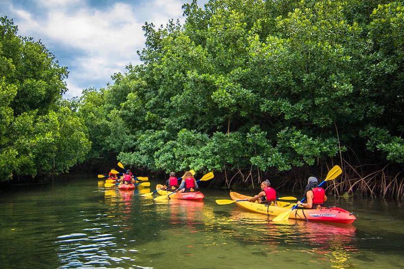 Kayak Through The Mangroves of Fajardo