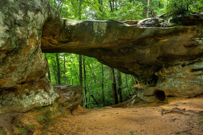 Daniel Boone National Forest, Kentucky