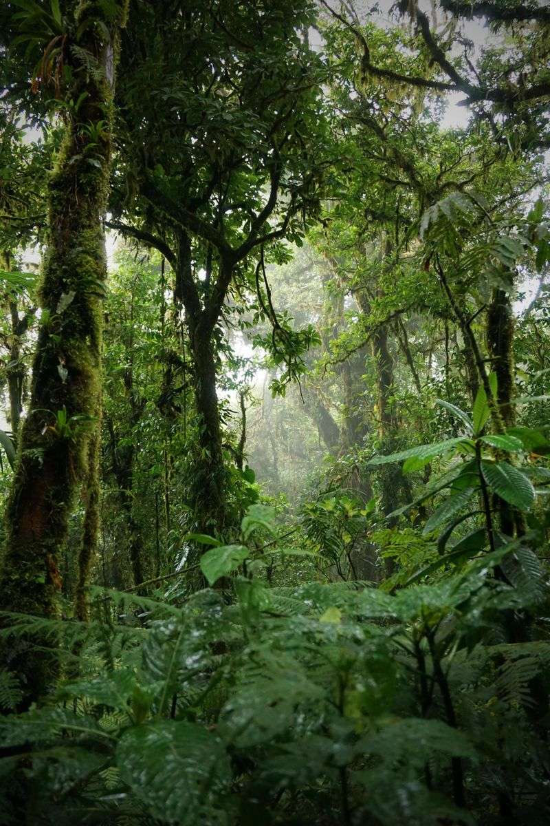 Monteverde, Costa Rica