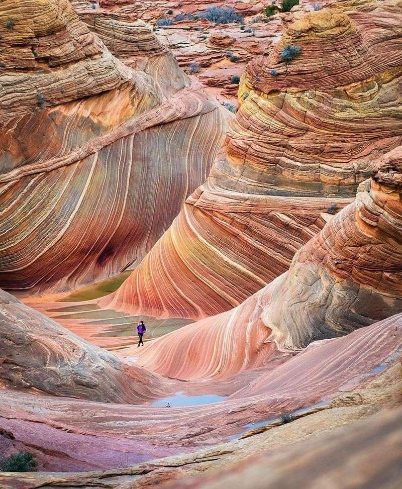 The Wave, Arizona