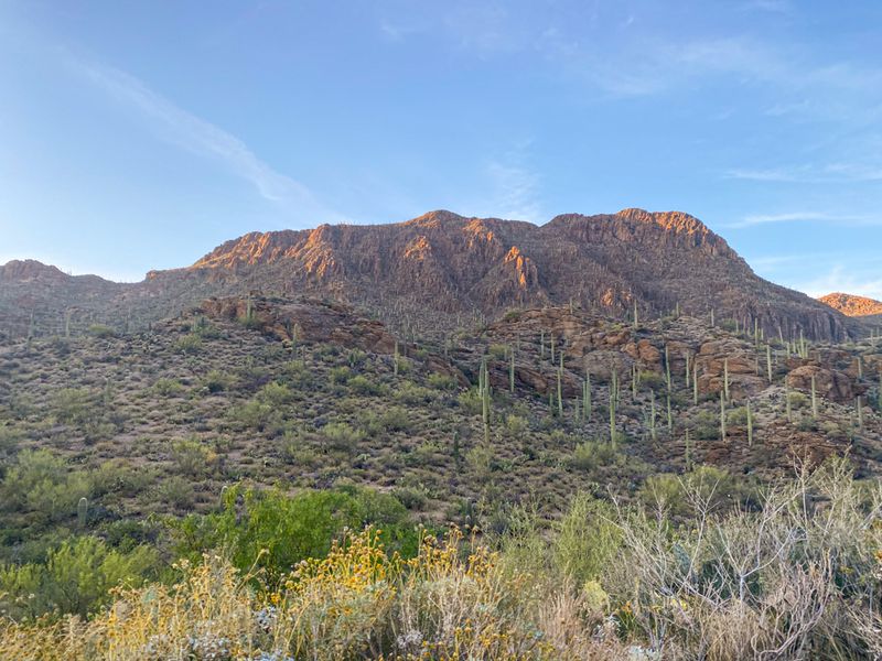 Tucson Mountain Park