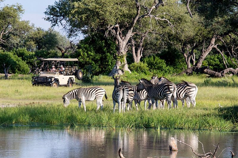 Safari in Botswana's Okavango Delta