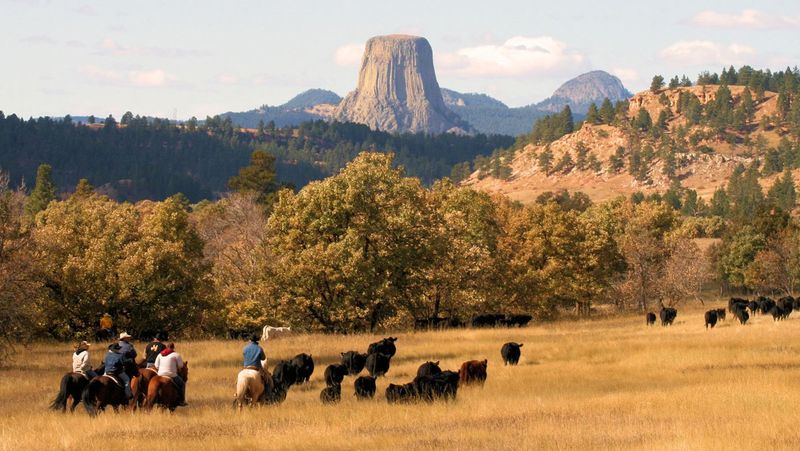 Black Hills National Forest, South Dakota